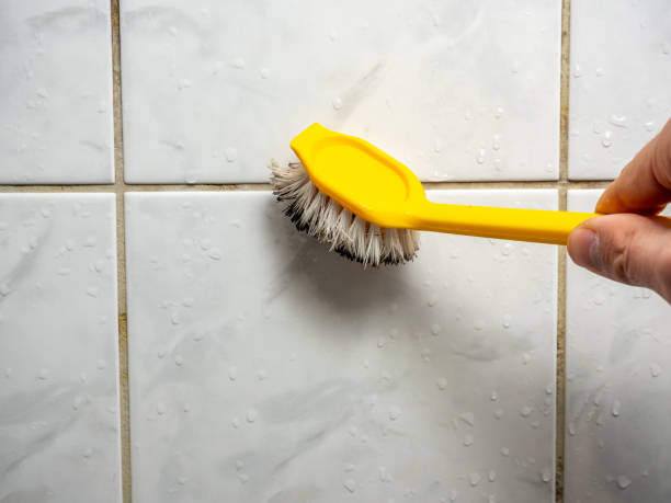 Home Mold Removal in Pemberwick, CT