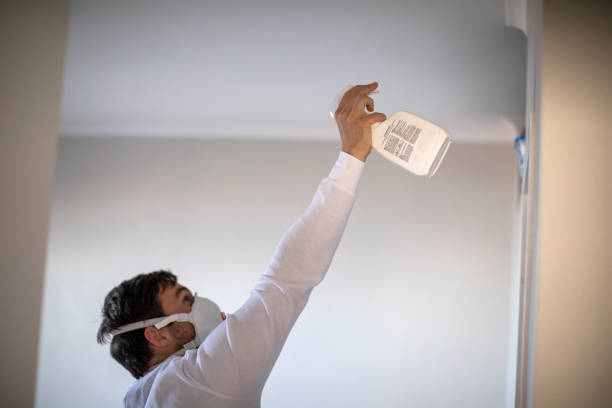 Best Mold Removal Process  in Pemberwick, CT