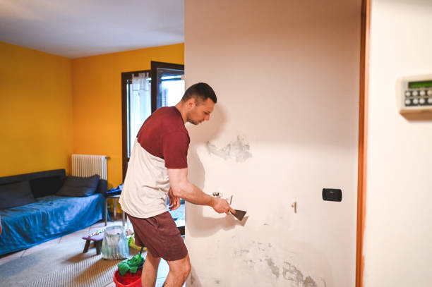 Best Black Mold Removal  in Pemberwick, CT